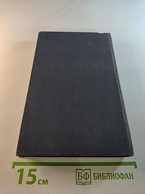 Дерзкий рейд