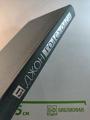 Собрание сочинений в шестнадцати томах. Том 13