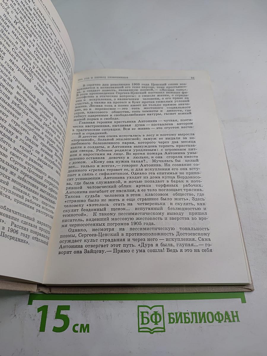 С. Н. Сергеев-Ценский – писатель, человек