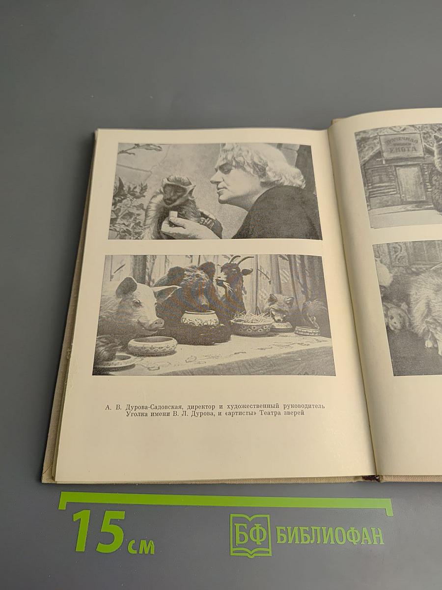 Братья Дуровы