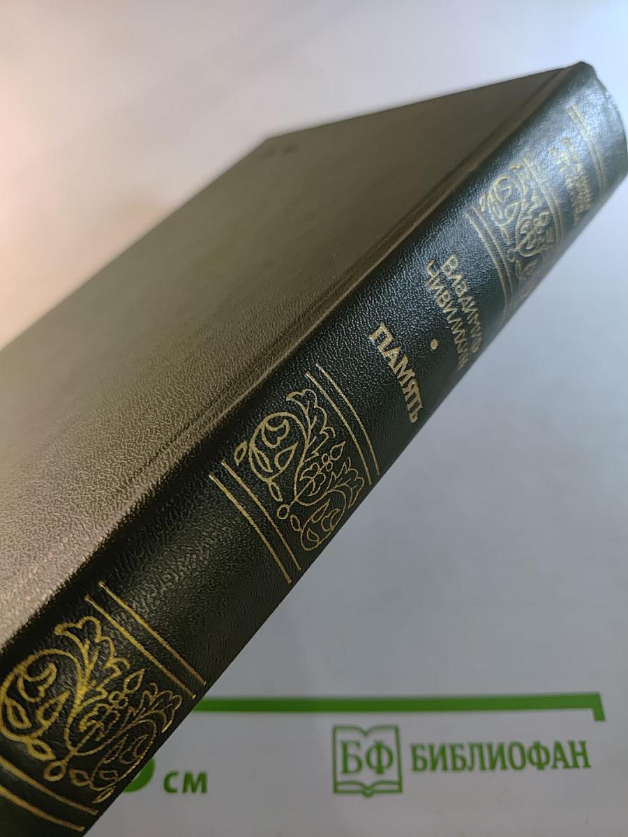 Память. Книга вторая