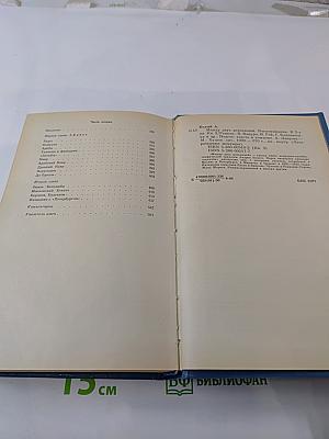 Между двух революций