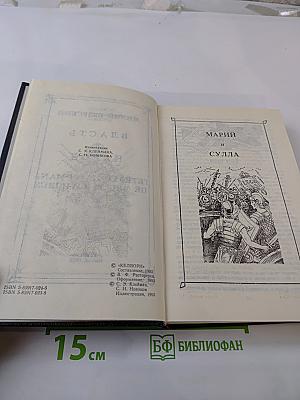 Власть и народ