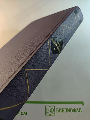 Студенты. Инженеры