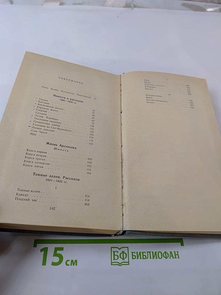 Избранная проза