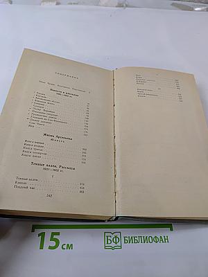 Избранная проза