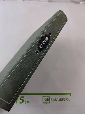 Избранная проза