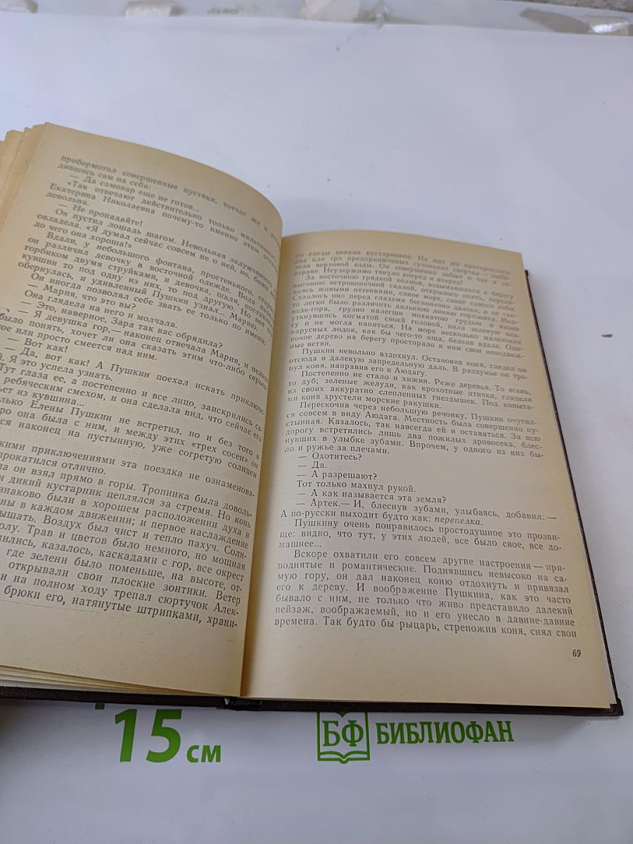 Пушкин на юге