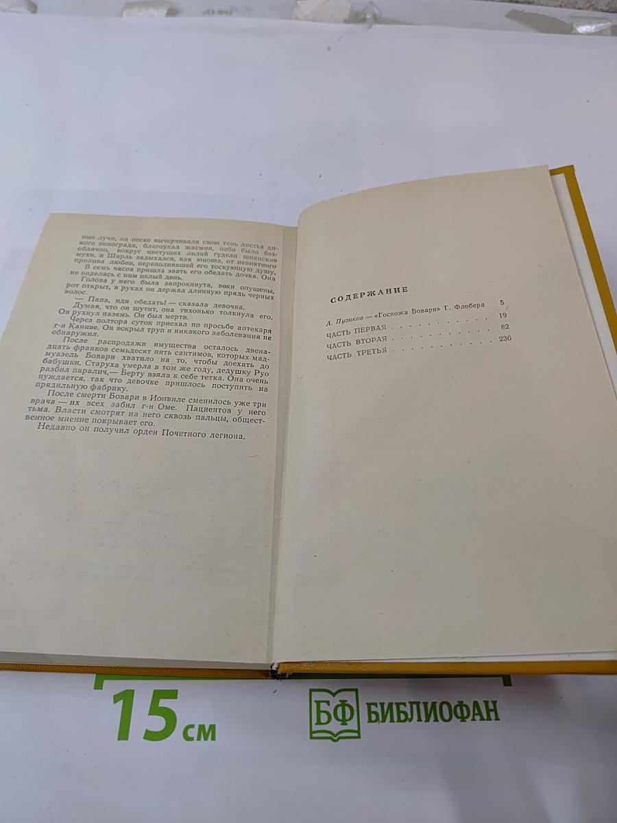 Госпожа Бовари