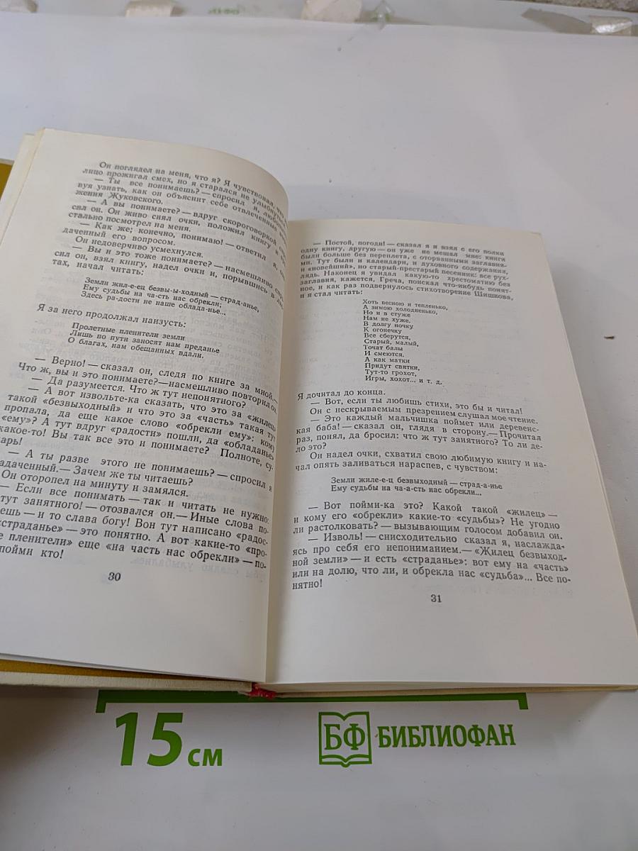 Очерки. Статьи. Письма. Воспоминания современников