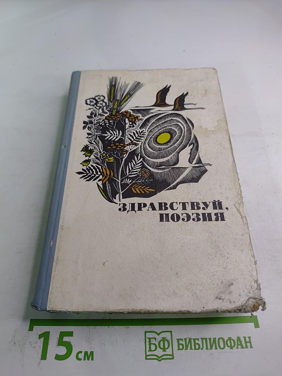 Здравствуй, поэзия