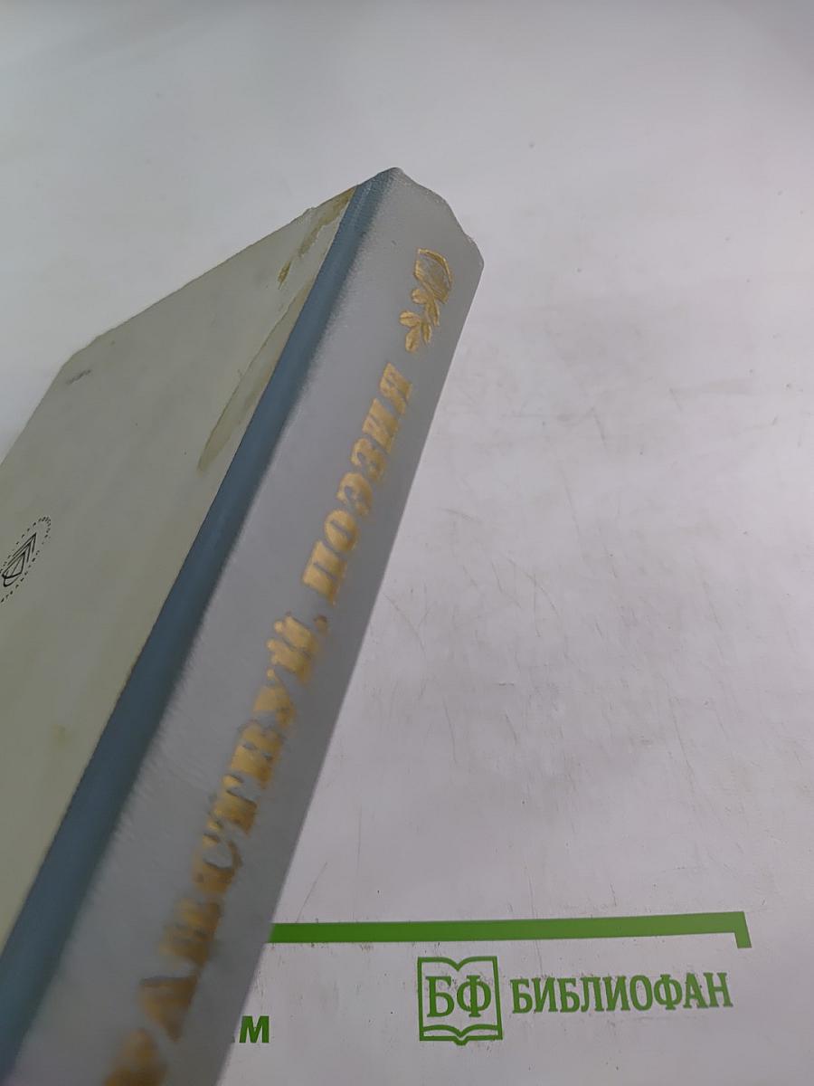 Здравствуй, поэзия