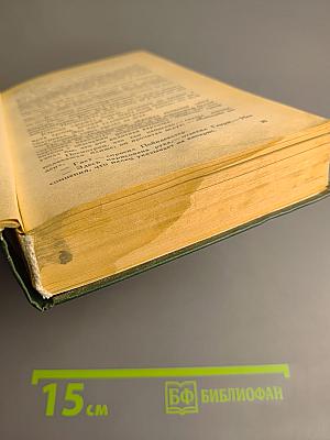 Всадник без головы