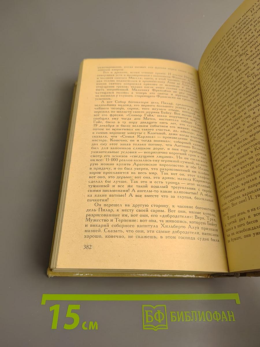 Гойя, или Тяжкий путь познания