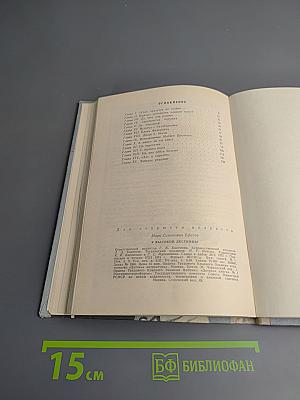 У высокой лестницы