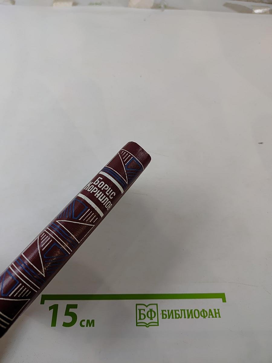 Борис Корнилов. Стихотворения. Поэмы.