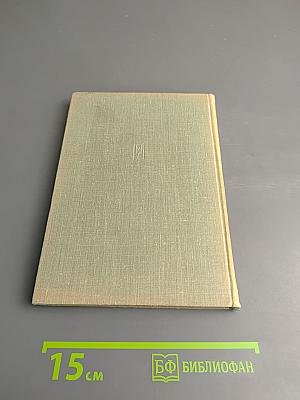 Семь раз по семь дней