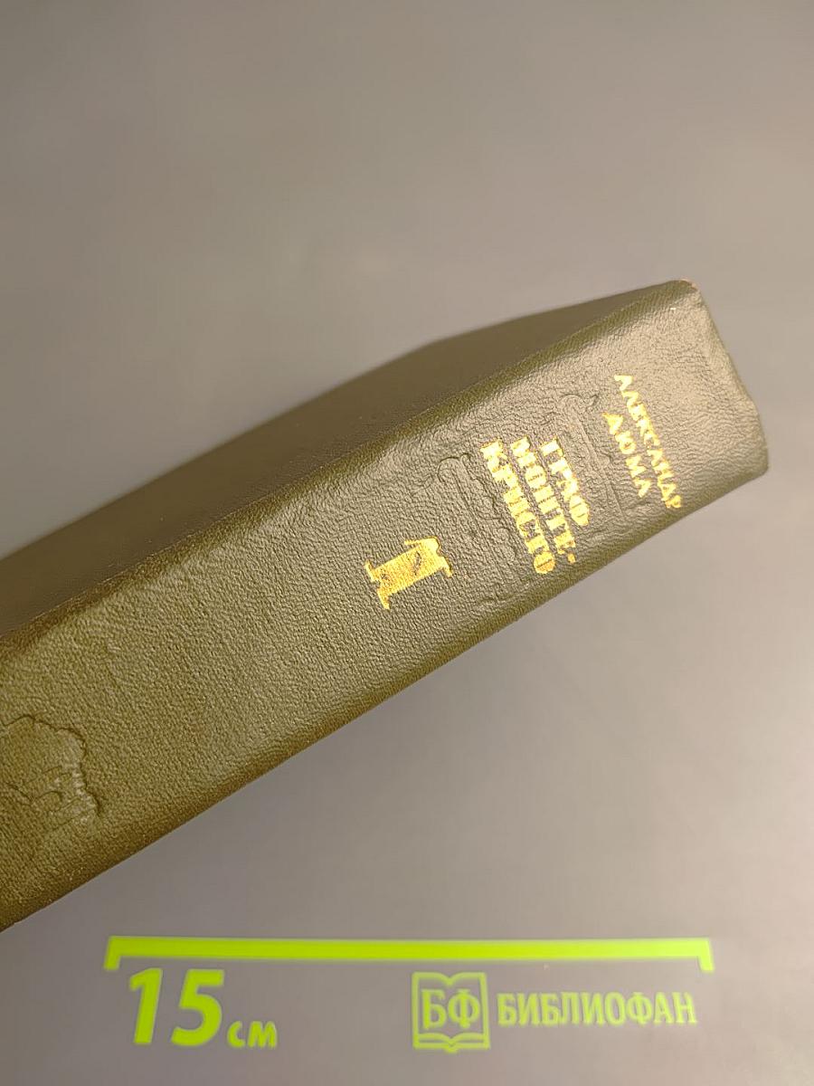 Граф Монте-Кристо. Том 1