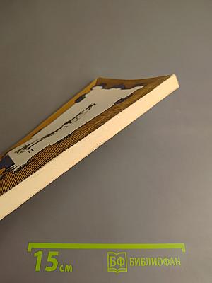 Охотница за скальпами. Город прокаженного короля.