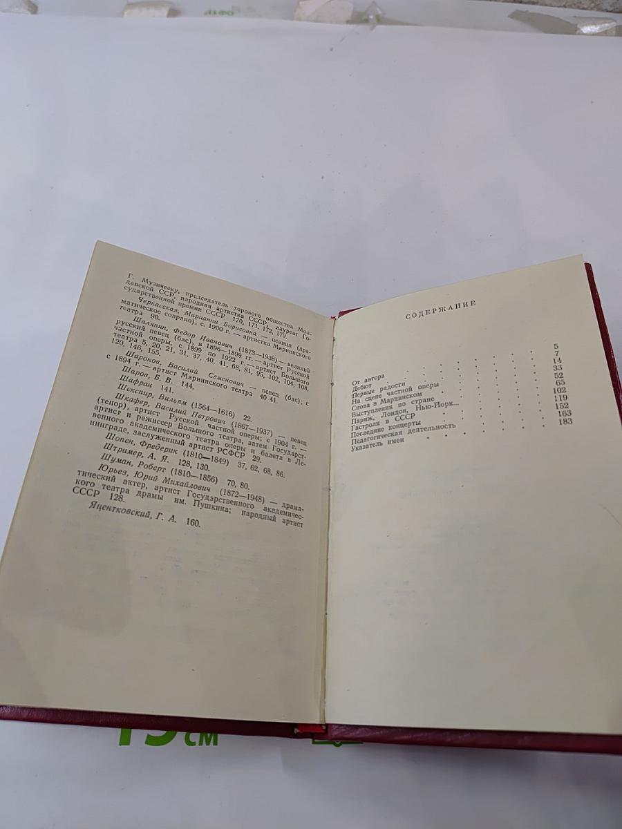 Очарованная песней