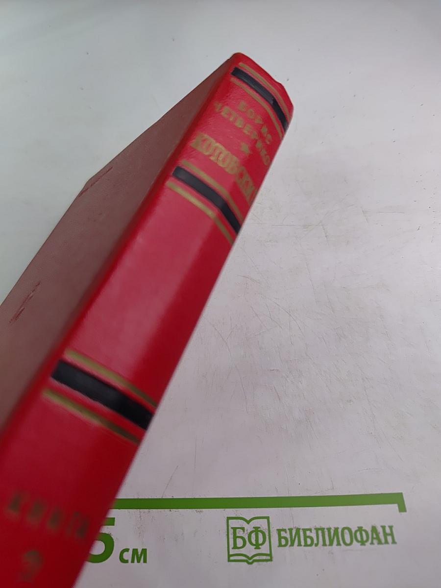 Котовский. Книга вторая. Эстафета жизни