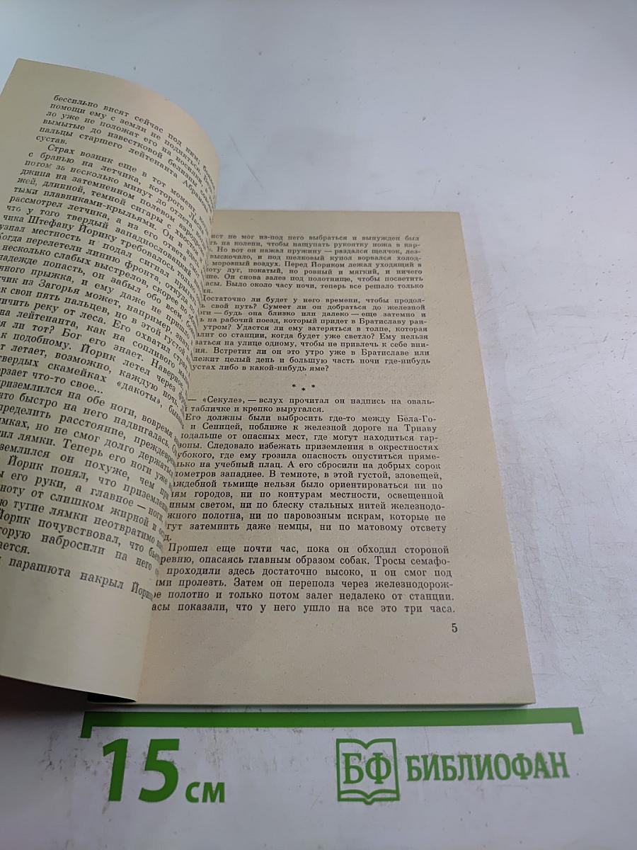 Парень из Горегрона