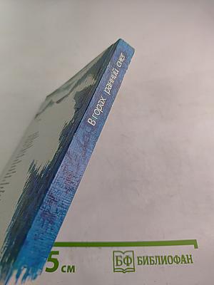 В горах ранний снег