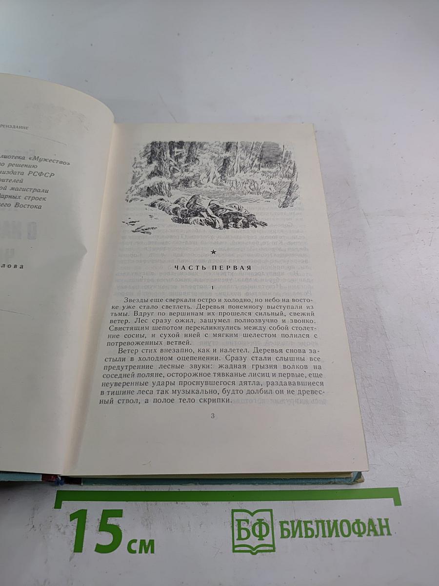 Повесть о настоящем человеке