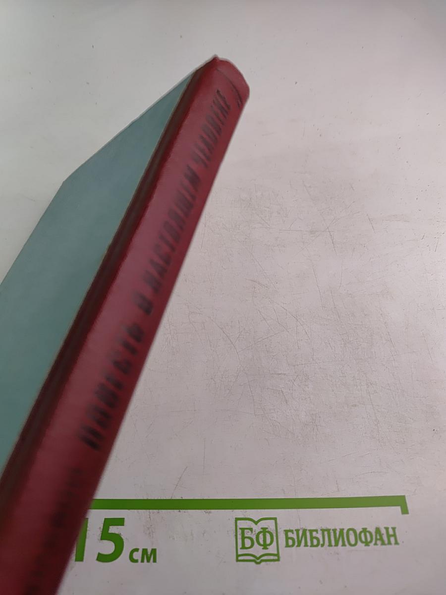 Повесть о настоящем человеке