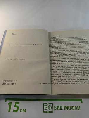 Коротко о Ленинграде