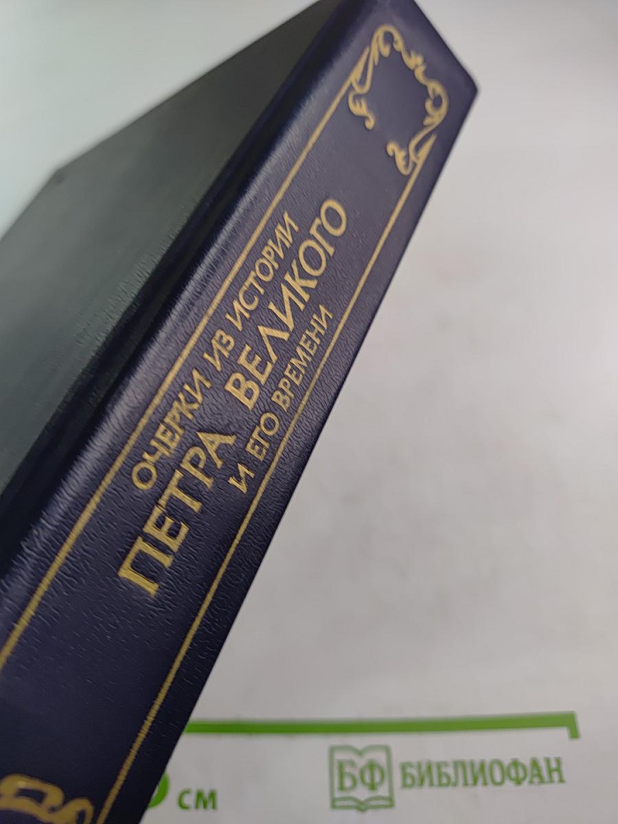 Очерки из истории Петра Великого и его времени