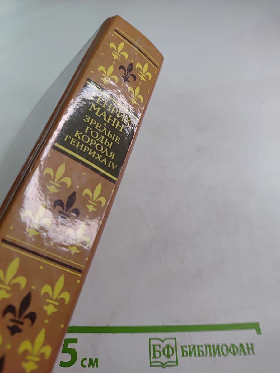 Зрелые годы Короля Генриха IV