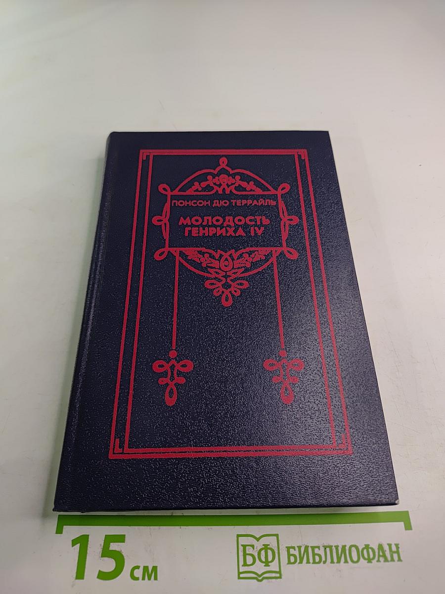 Молодость Генриха IV