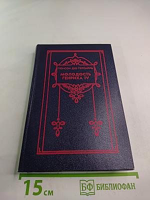 Молодость Генриха IV