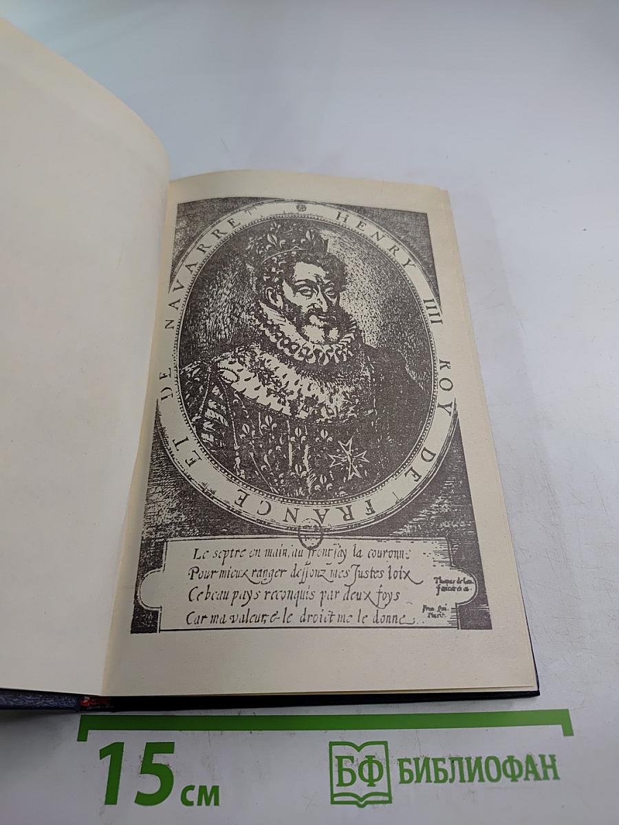 Молодость Генриха IV