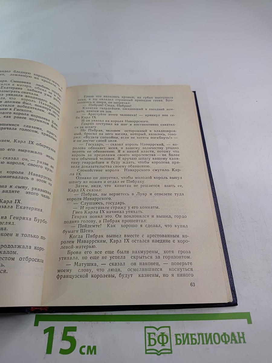 Молодость Генриха IV