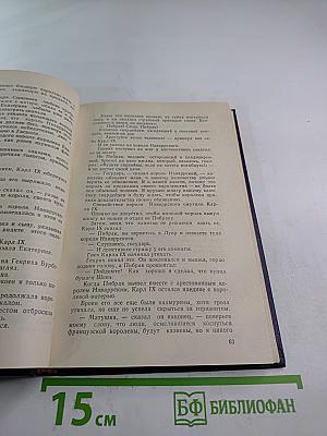 Молодость Генриха IV