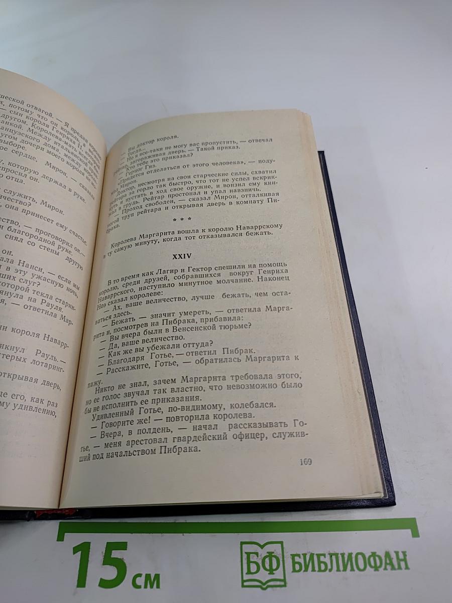 Молодость Генриха IV