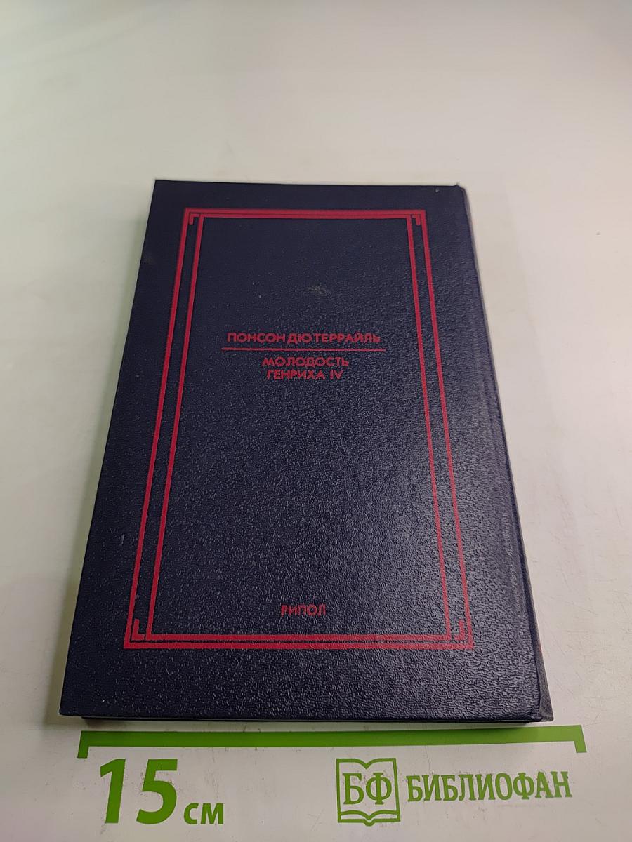 Молодость Генриха IV