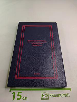 Молодость Генриха IV