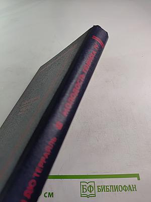 Молодость Генриха IV