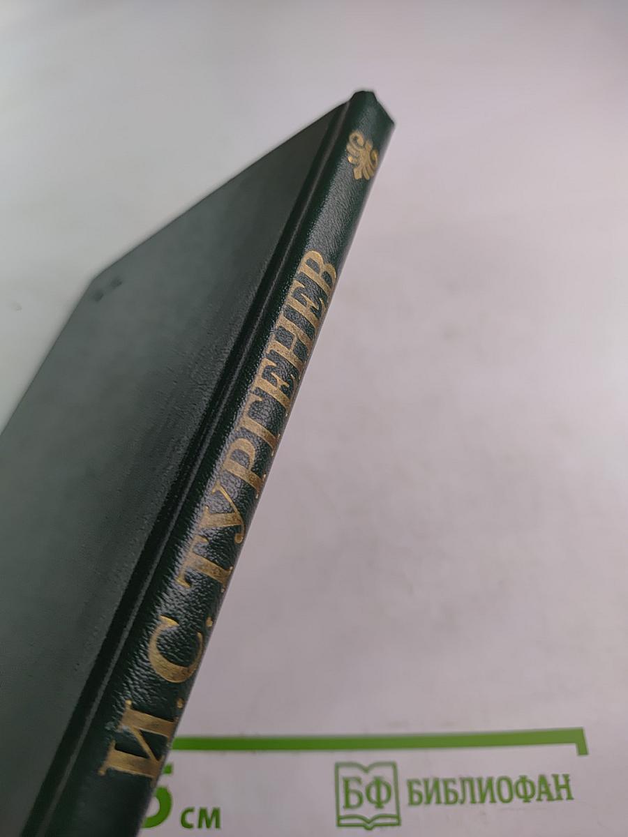 Рудин. Дворянское гнездо