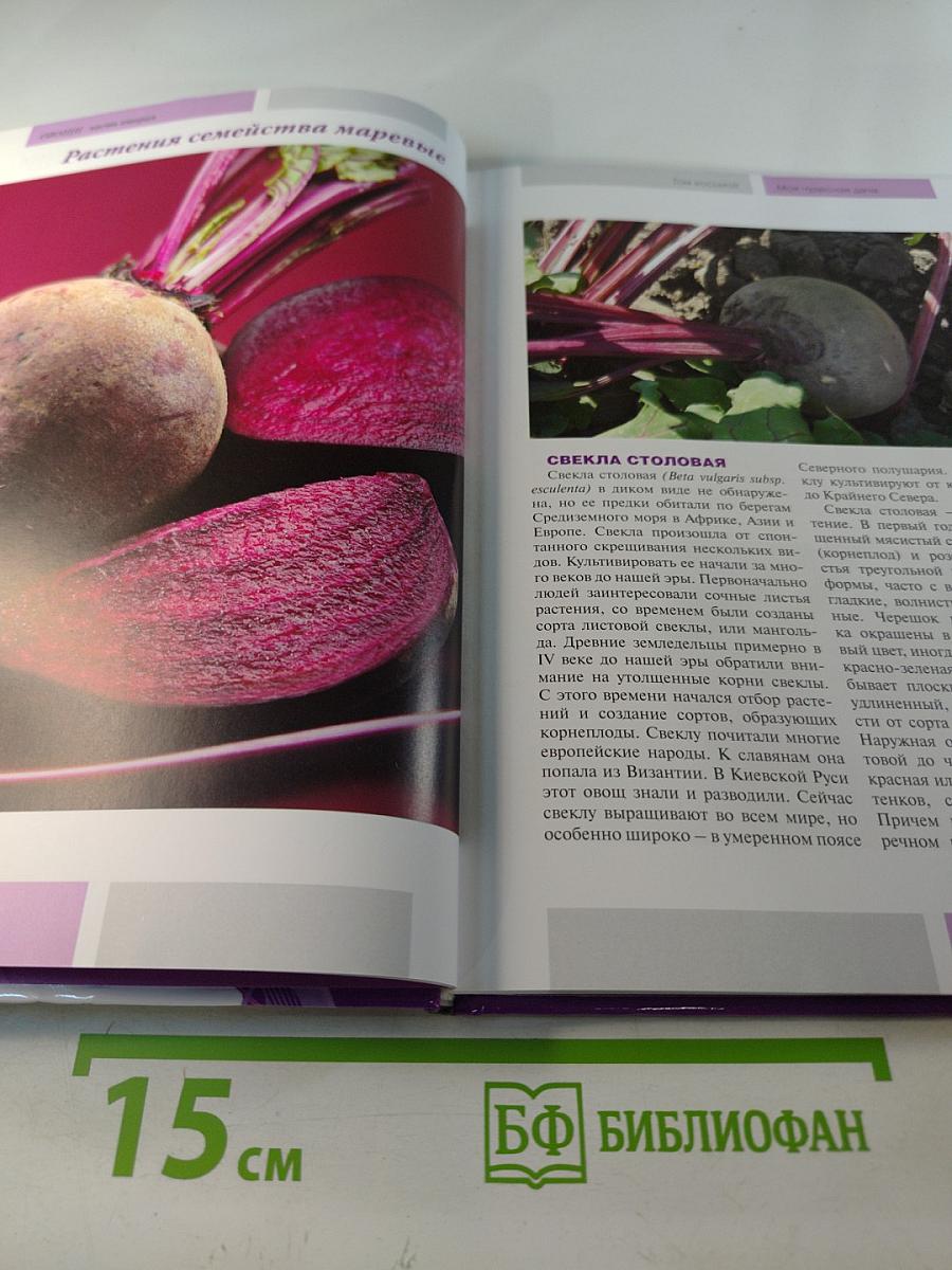 Моя чудесная дача. Том 8. Овощи. Часть 2