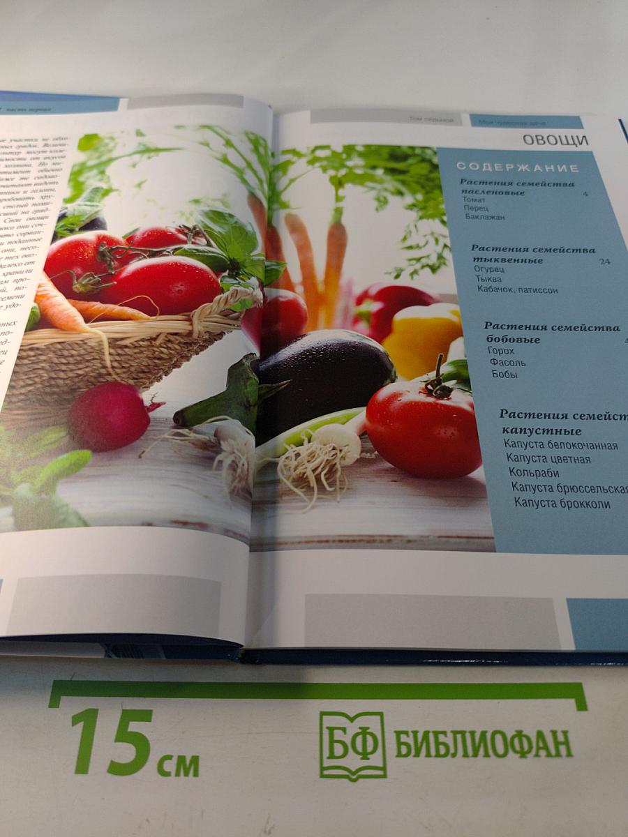 Моя чудесная дача. Овощи. Часть 1