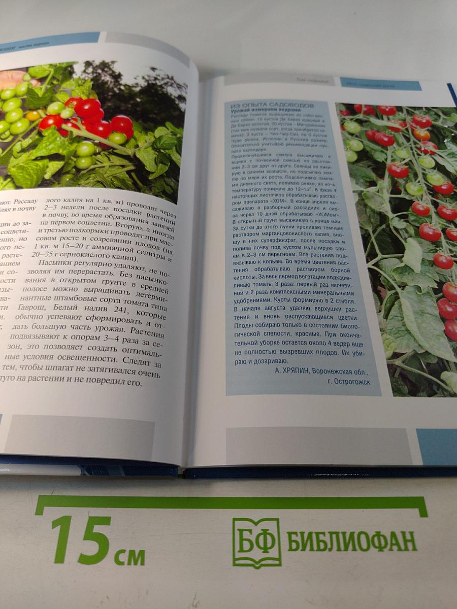 Моя чудесная дача. Овощи. Часть 1