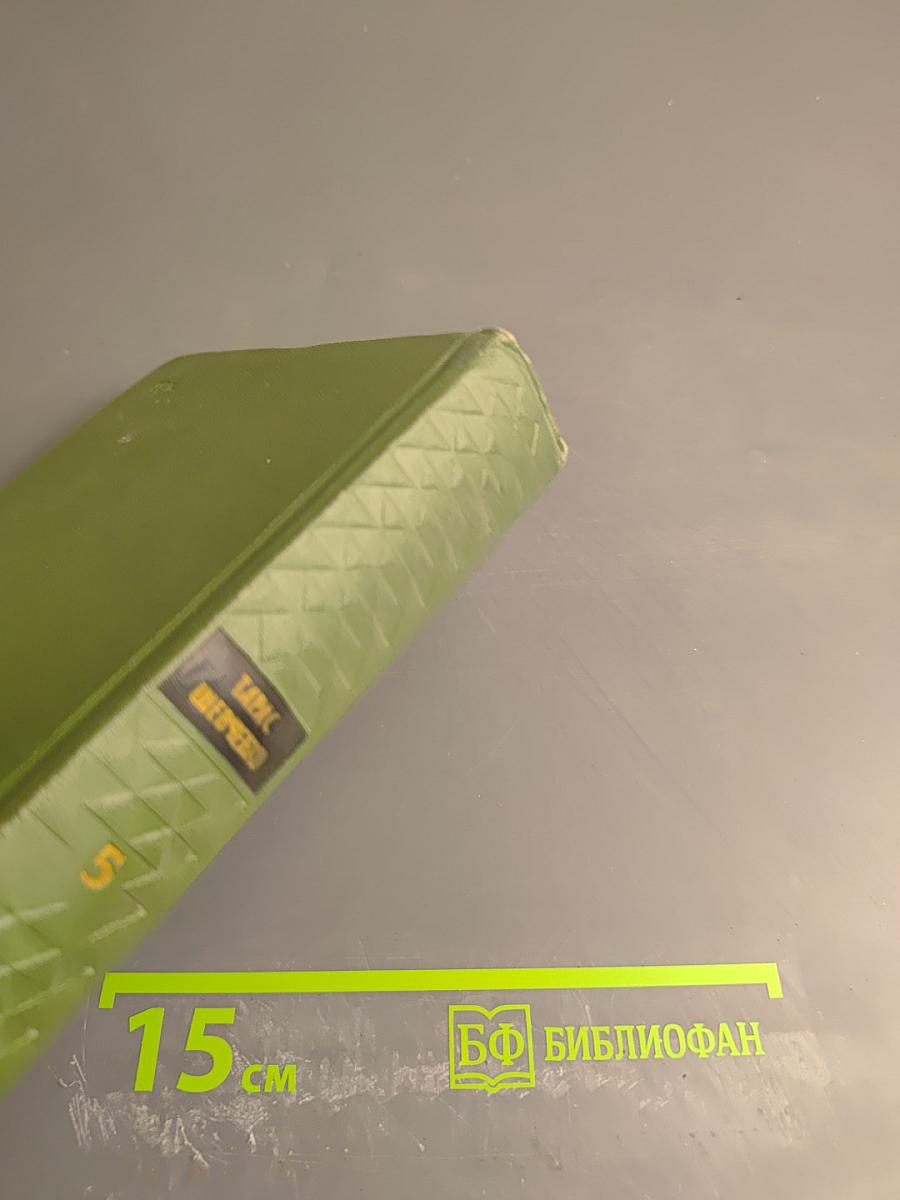 Собрание сочинений. Том 5. Дневник. Избранные письма и деловые бумаги