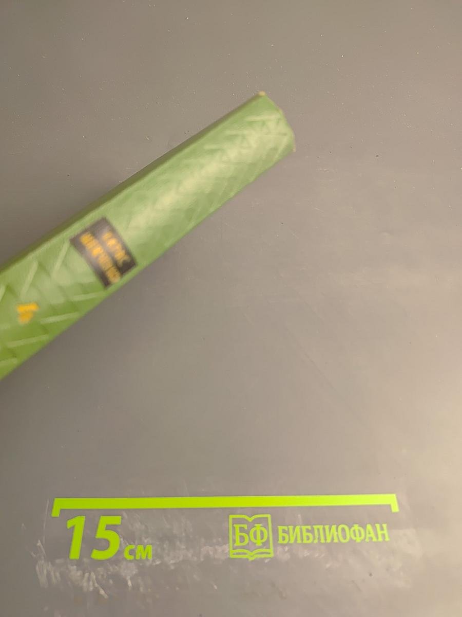 Собрание сочинений. Том 4. Повести