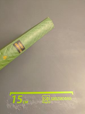 Собрание сочинений. Том 4. Повести