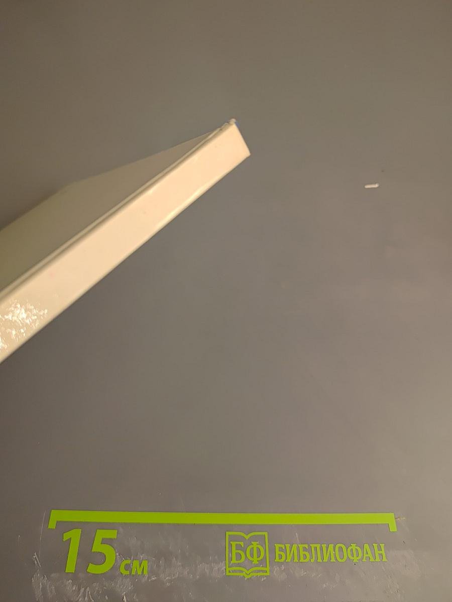 Карел Пуркине