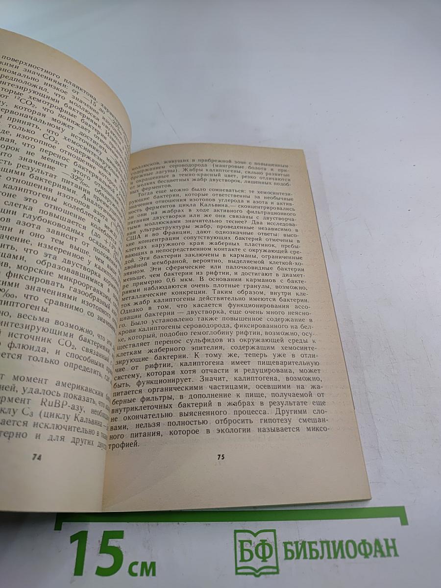 Оазисы на дне океана